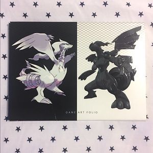 Pokemon Black & White Game Art Folio